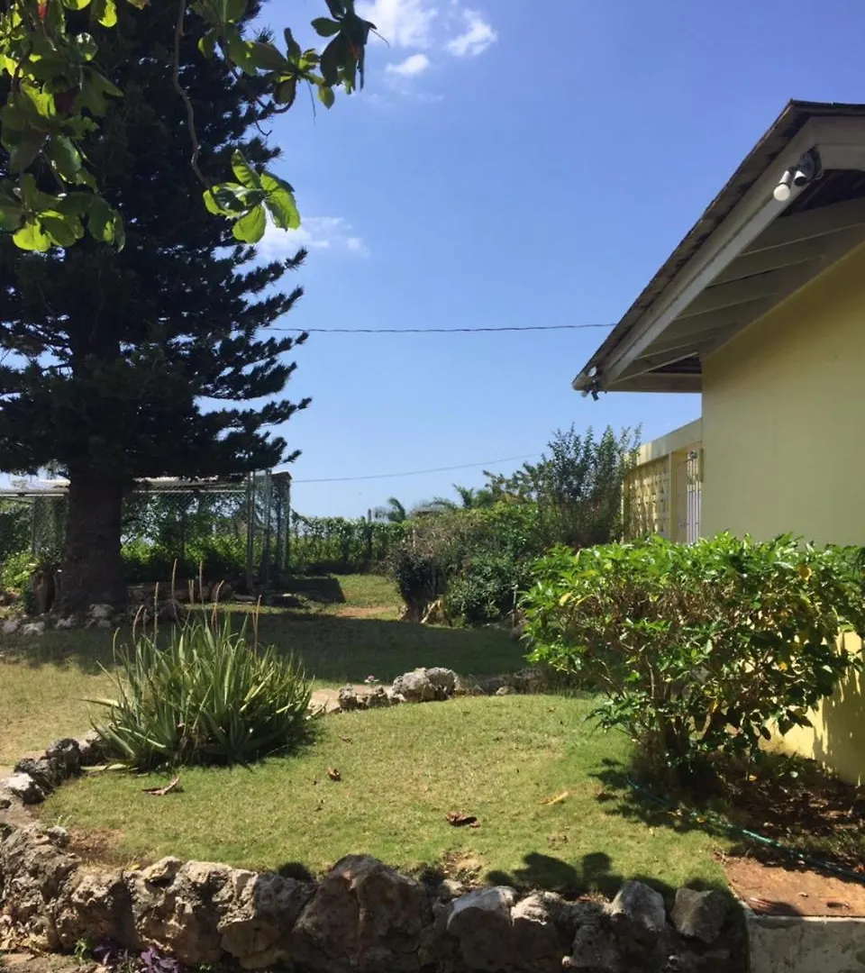 Five Gables Hostel Montego Bay
